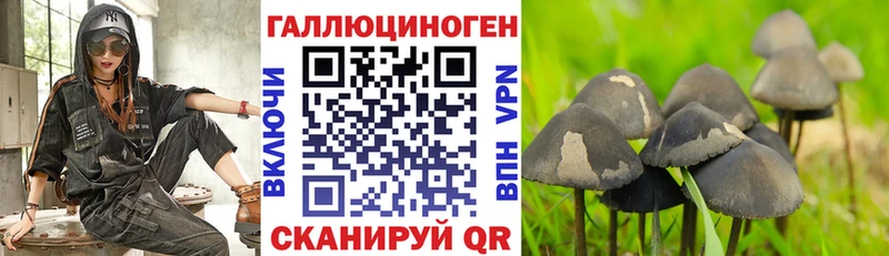 Псилоцибиновые грибы Magic Shrooms  Купить где  Борзя 